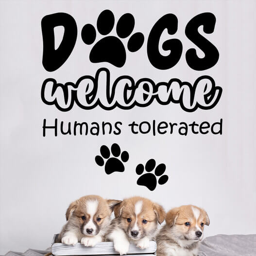 Wallsticker med teksten "Dogs welcome humans tolerated"