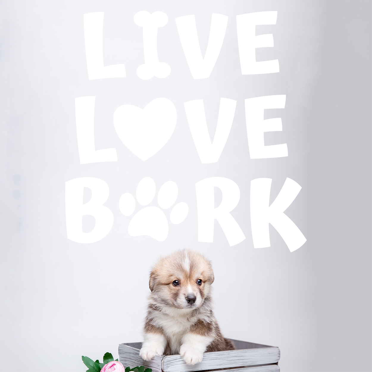 Wallsticker med teksten "Live love bark"