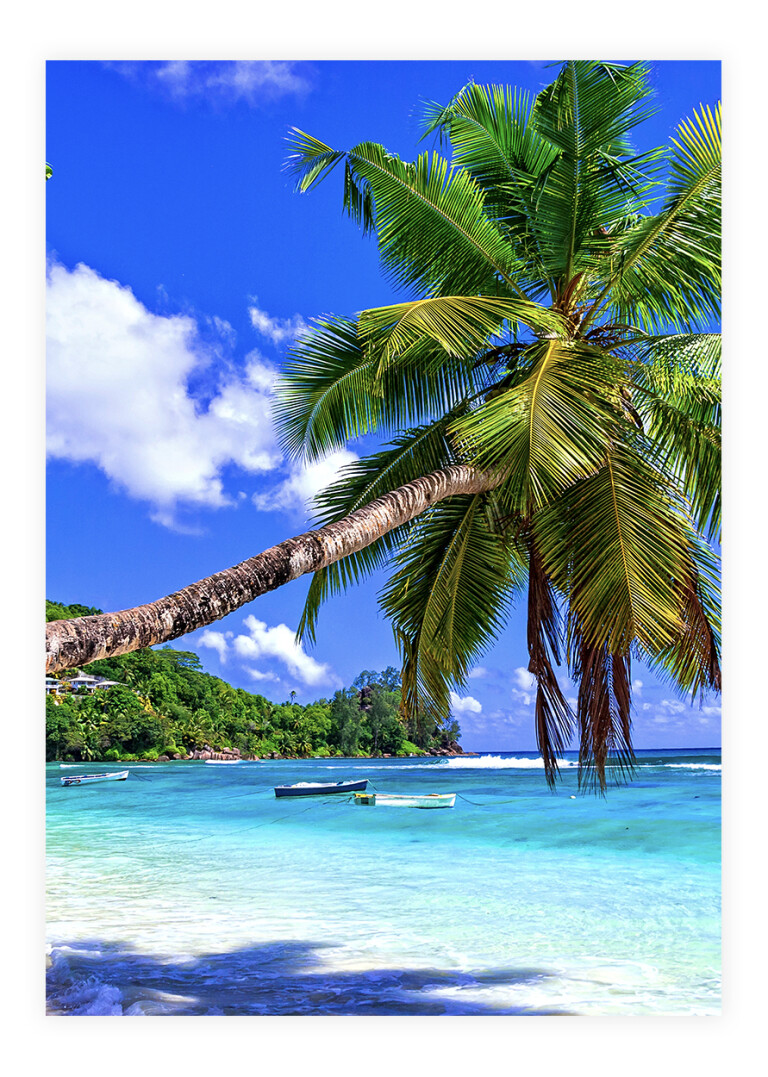 Tropisk strand plakat → Fra 59 Kr.