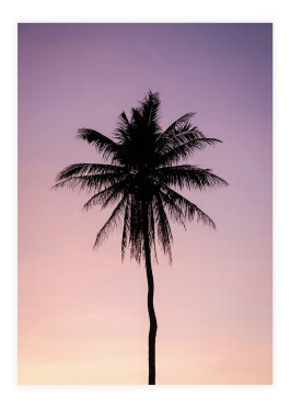 Palmetræ ved solnedgang plakat