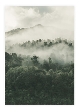 Plakat med tåge over skoven